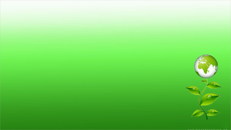 Bộ sưu tập hình nền màu xanh lá cây CỰC ĐẸP cho iPhone  Hướng dẫn kỹ thuật