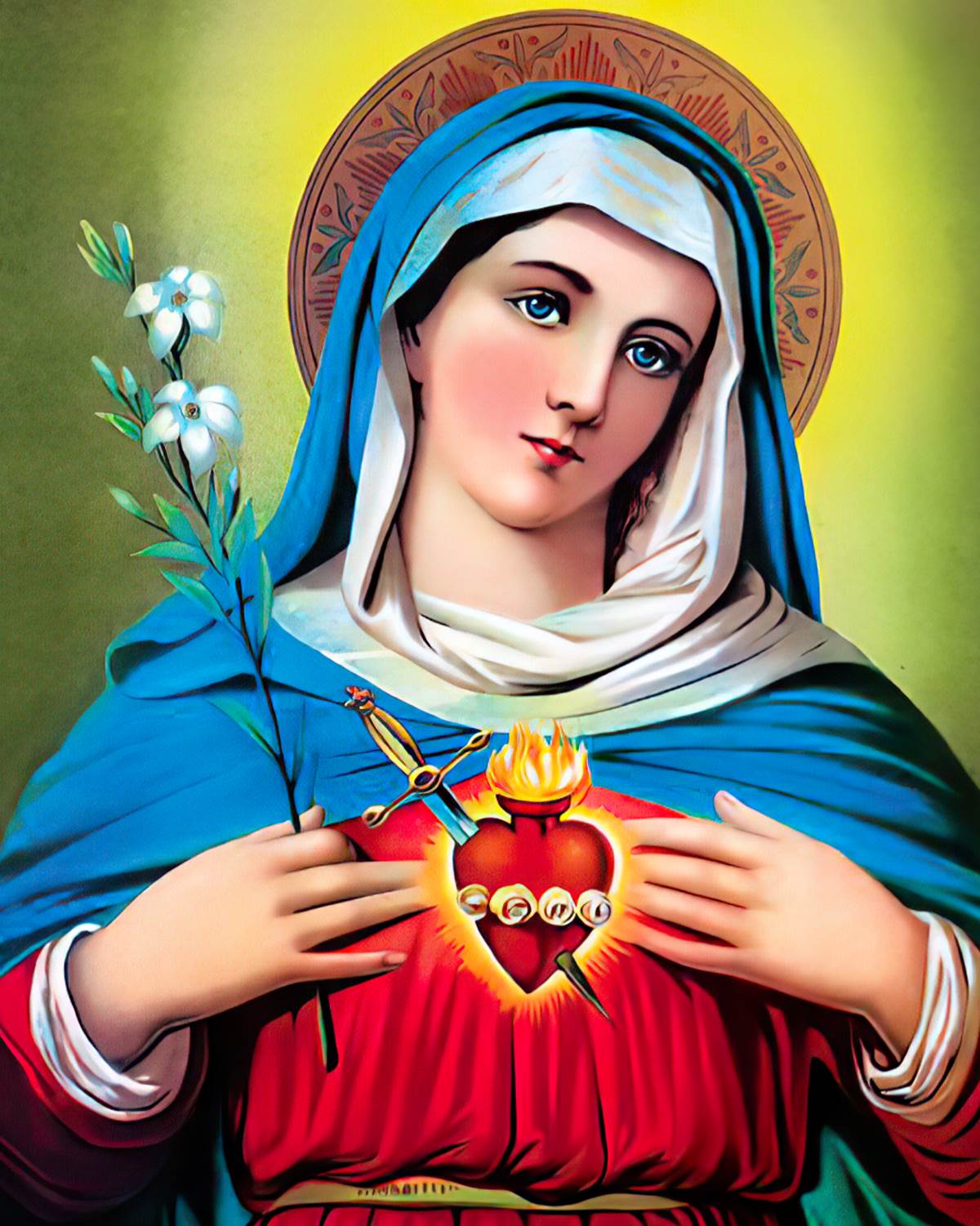 Những hình ảnh đức mẹ maria đẹp nhất hình ảnh đức mẹ maria đẹp nhất