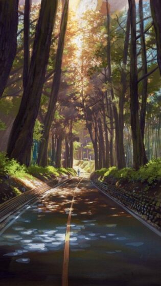 ảnh anime phong cảnh con đường về nhà
