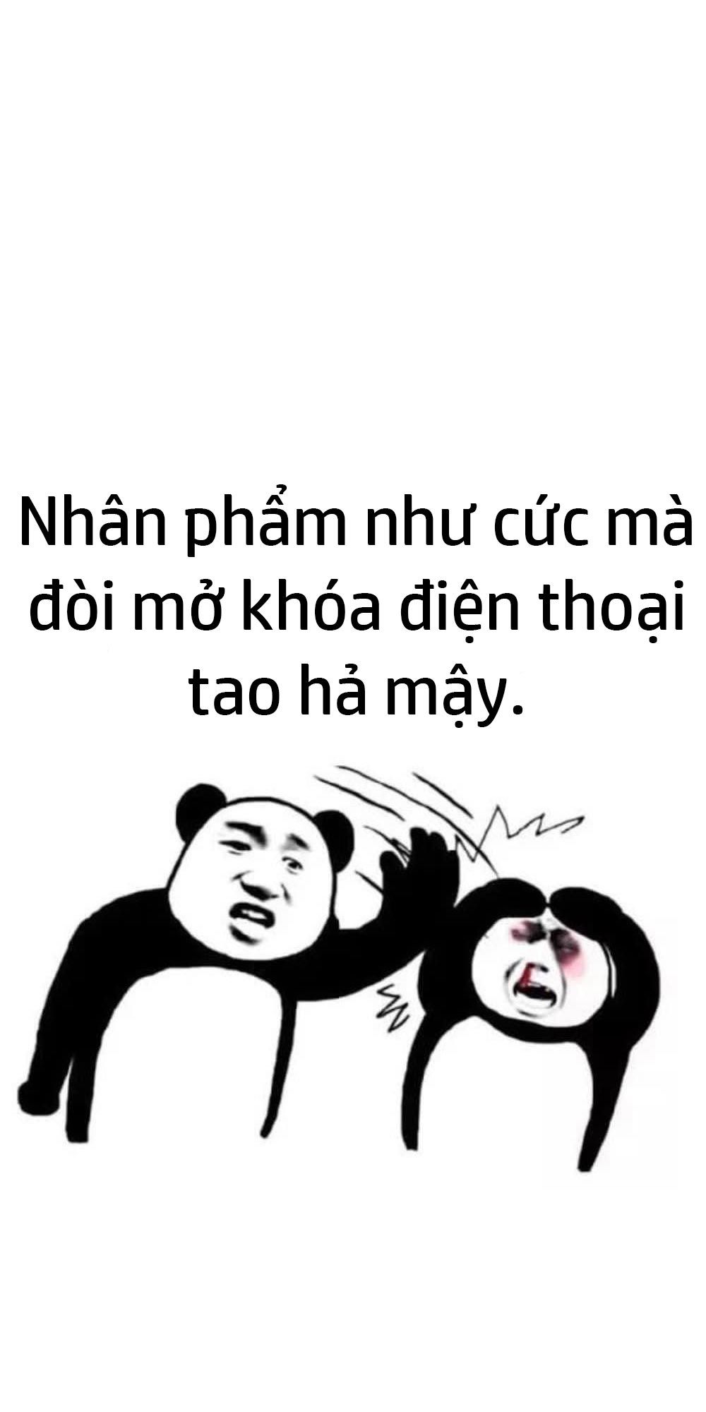 GẤU HÀI HƯỚC Con Lai Lừa Chó  Tập 113  Phim hoạt hình gấu trung quốc mặt  bựa cười bể bụng  Bilibili