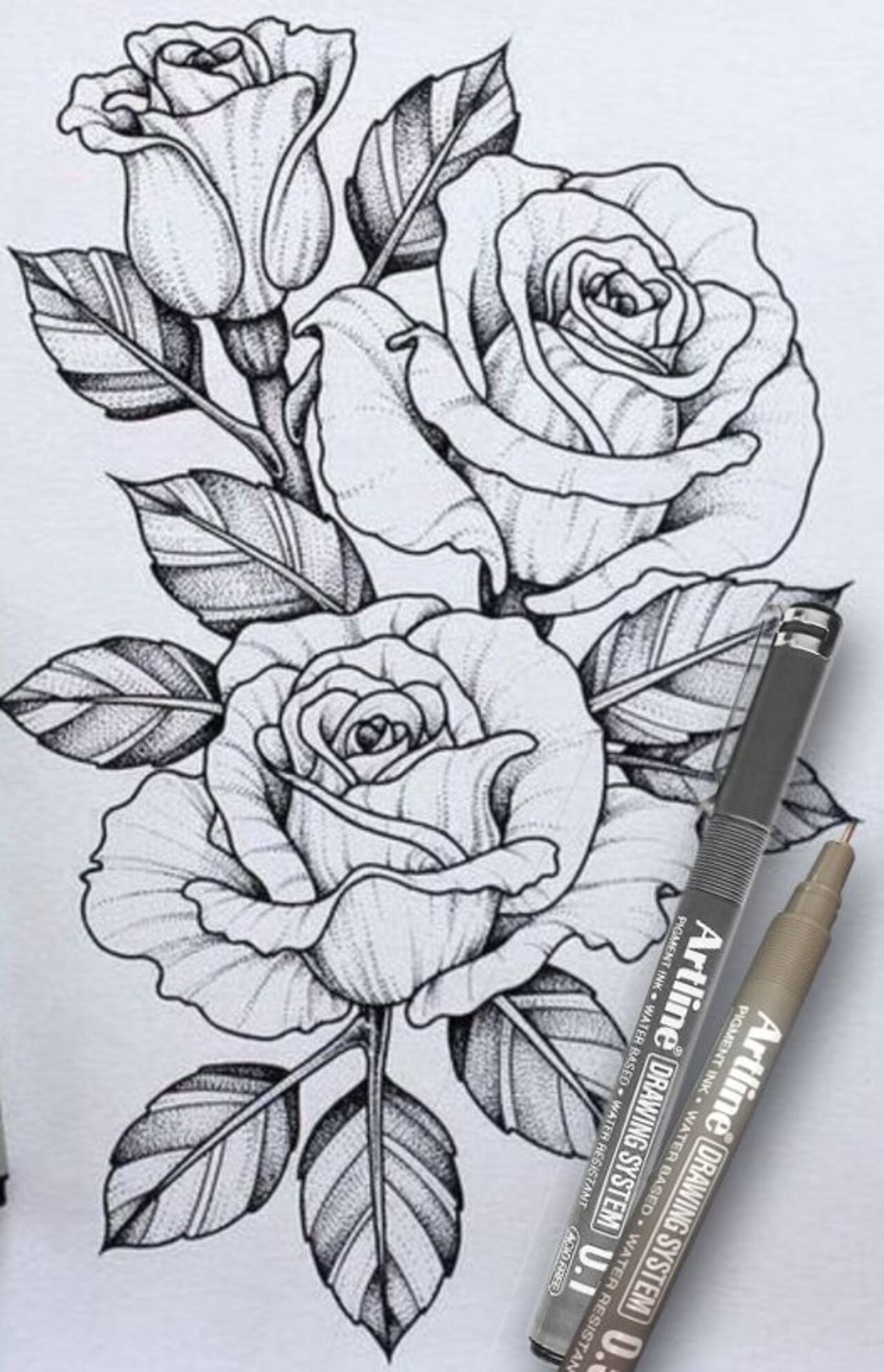 Sáng tạo vẽ hoa hồng bằng bút bi đẹp mắt