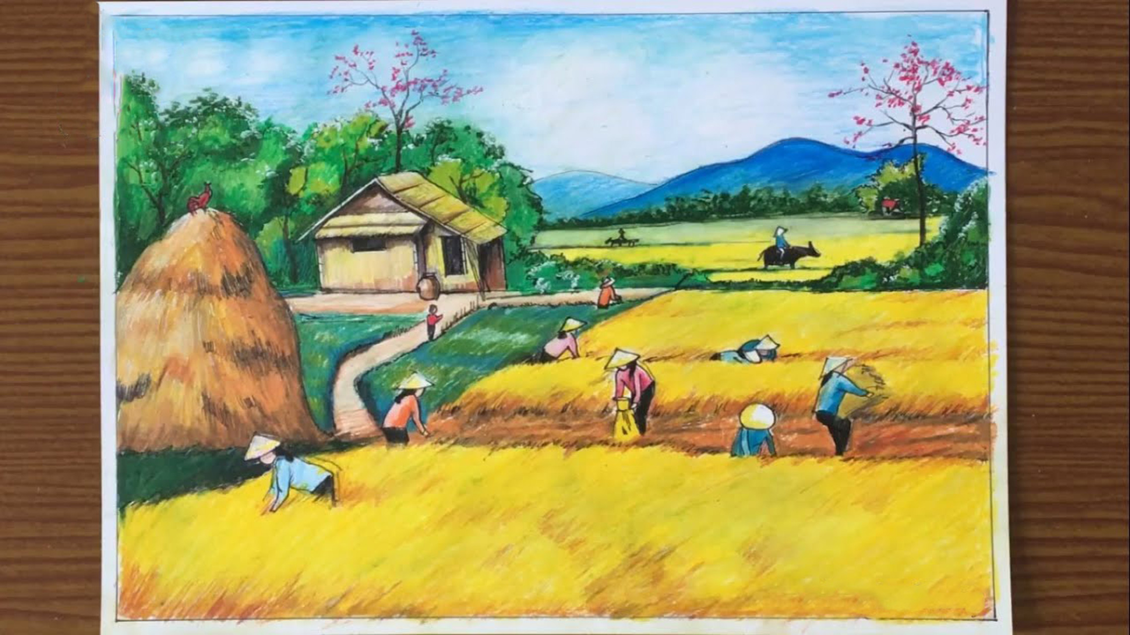 Vẽ Tranh Gặt Lúa Trên Cánh Đồng Đơn Giản Mà Đẹp