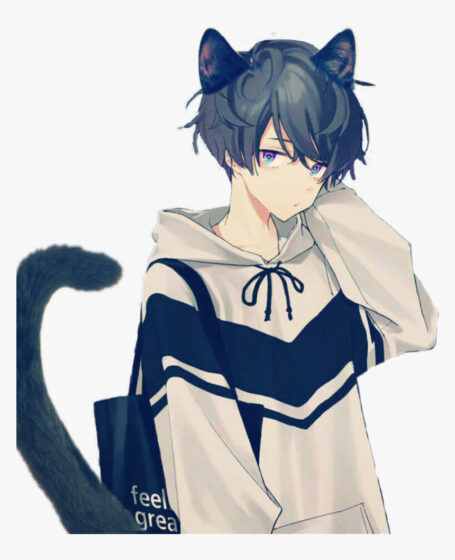 Ảnh anime boy mèo nhút nhát dễ thương