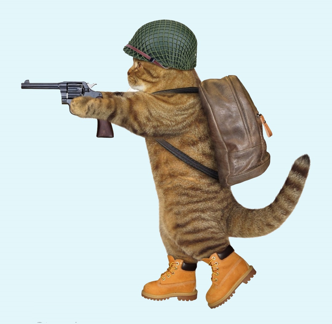 Ảnh mèo cầm súng Free Fire Hình chế mèo cầm súng FF vui nhộn