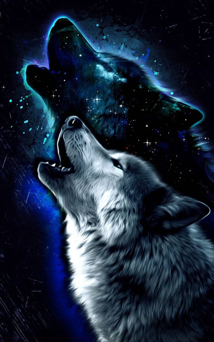 Khung cảnh nửa đêm của một con sói mắt tím trong ảnh đen trắng 2K tải xuống hình  nền