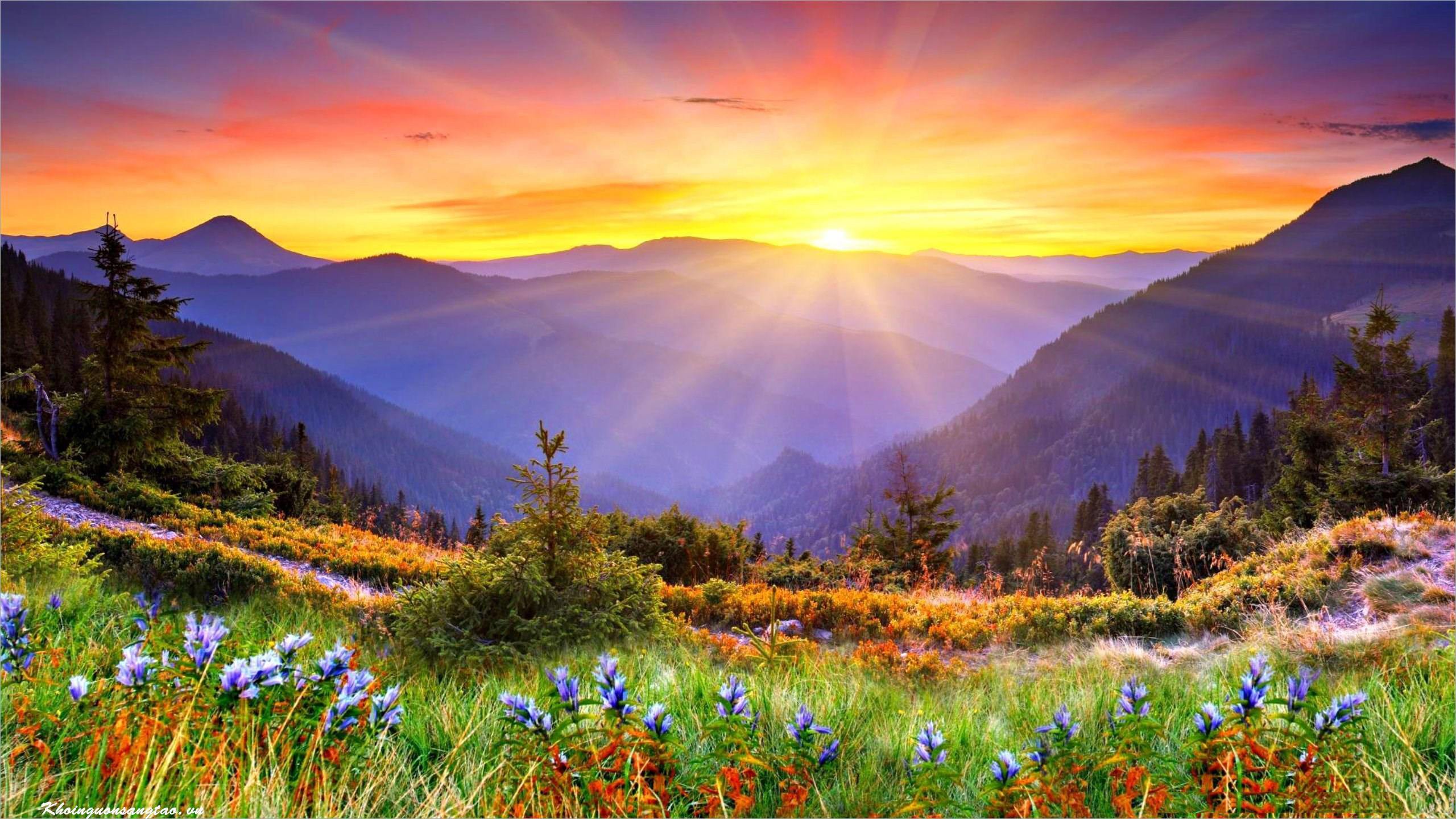 Top 100 Hình ảnh nền máy tính Full HD đẹp về thiên nhiên phong cảnh 2023 Trường Tiểu Học Đằng Lâm
