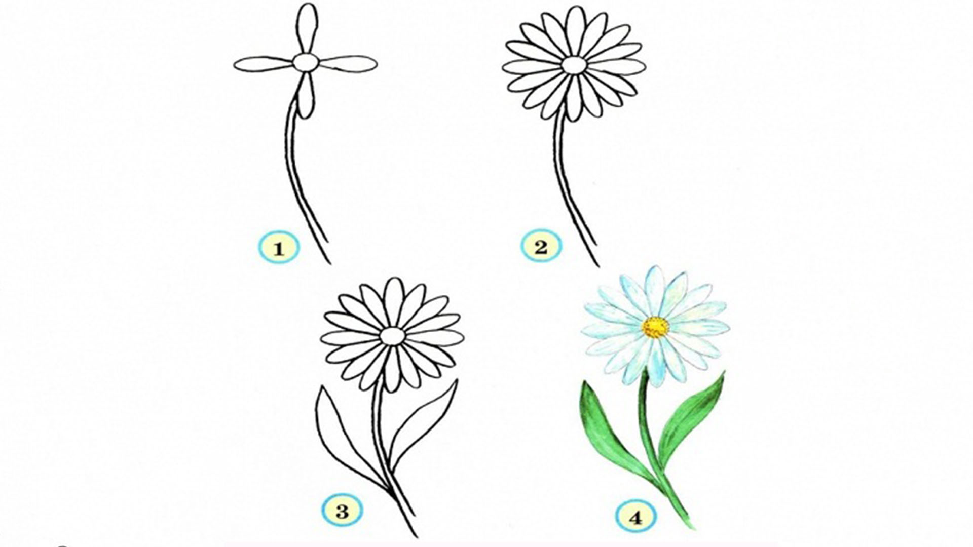 Hướng dẫn cách vẽ hoa đẹp đơn giản với 9 bước ai cũng thực hiện được