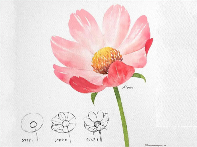Cách vẽ hoa lá, hình vẽ bông hoa
