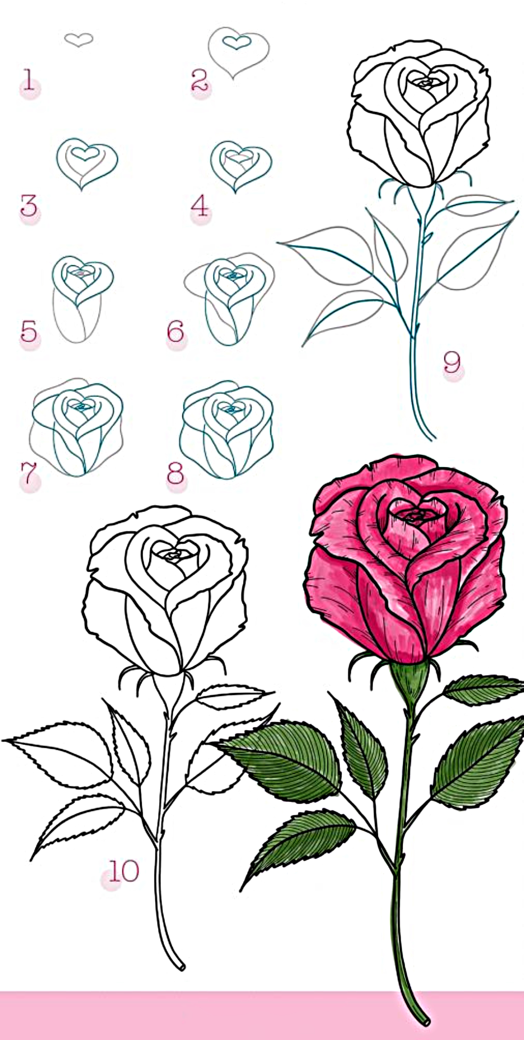 Vẽ hoa hồng tặng cô giáo 2011 siêu dễ lecongduytinh learnontiktok    TikTok