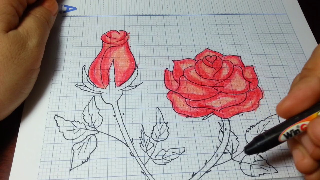 Hãy khám phá cách vẽ hoa hồng thông qua các bài học đầy bổ ích và thú vị. Bạn sẽ được hướng dẫn từng bước một, tìm hiểu các kỹ thuật và bí quyết để vẽ hoa hồng đẹp và sống động.