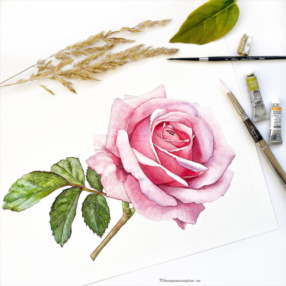 cách vẽ hoa hồng cực đẹp