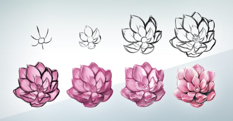 Cách vẽ hoa Sen 3D đơn giản 8 bước