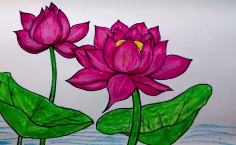 cách vẽ hoa sen bằng sáp màu