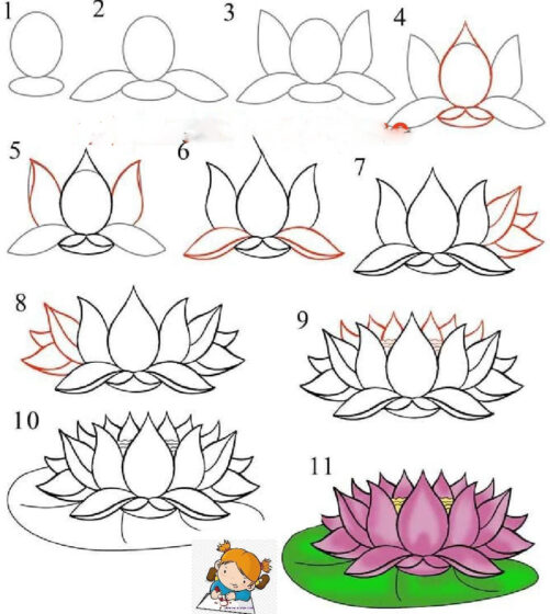 Cách vẽ hoa Sen đơn giản 11 bước