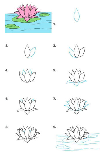Cách vẽ hoa Sen đơn giản 9 bước