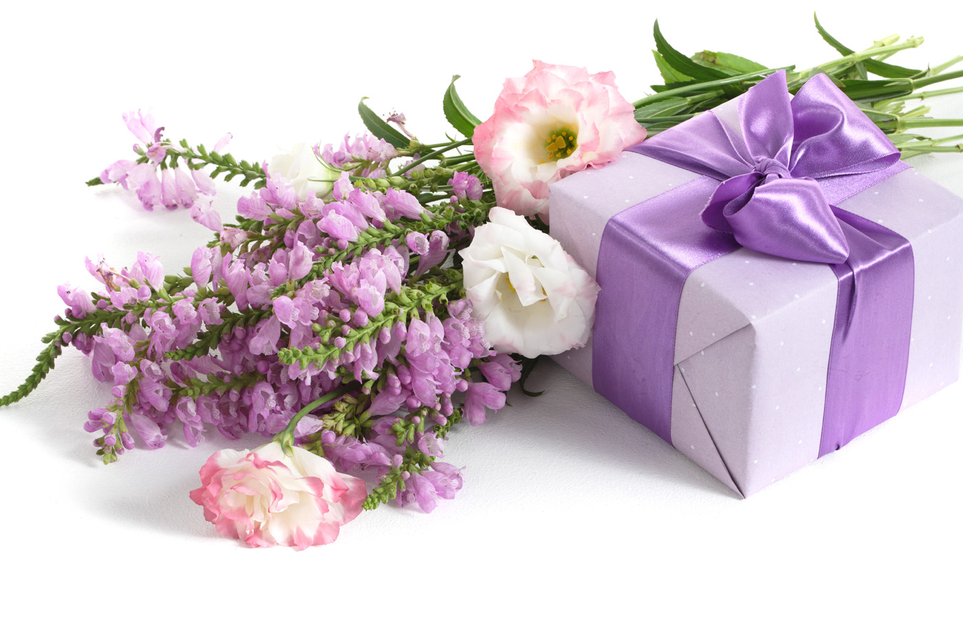 30 mẫu Hoa sinh nhật màu tím đẹp nhất ý nghĩa   Freenatureanimalbutterflywallpapercom