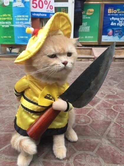 Image of a cat holding a knife