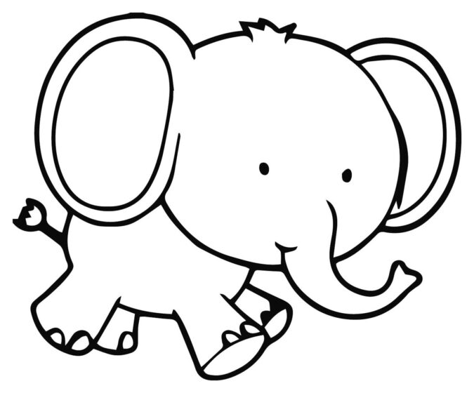 Hình ảnh dễ thương của một chú voi con không màu