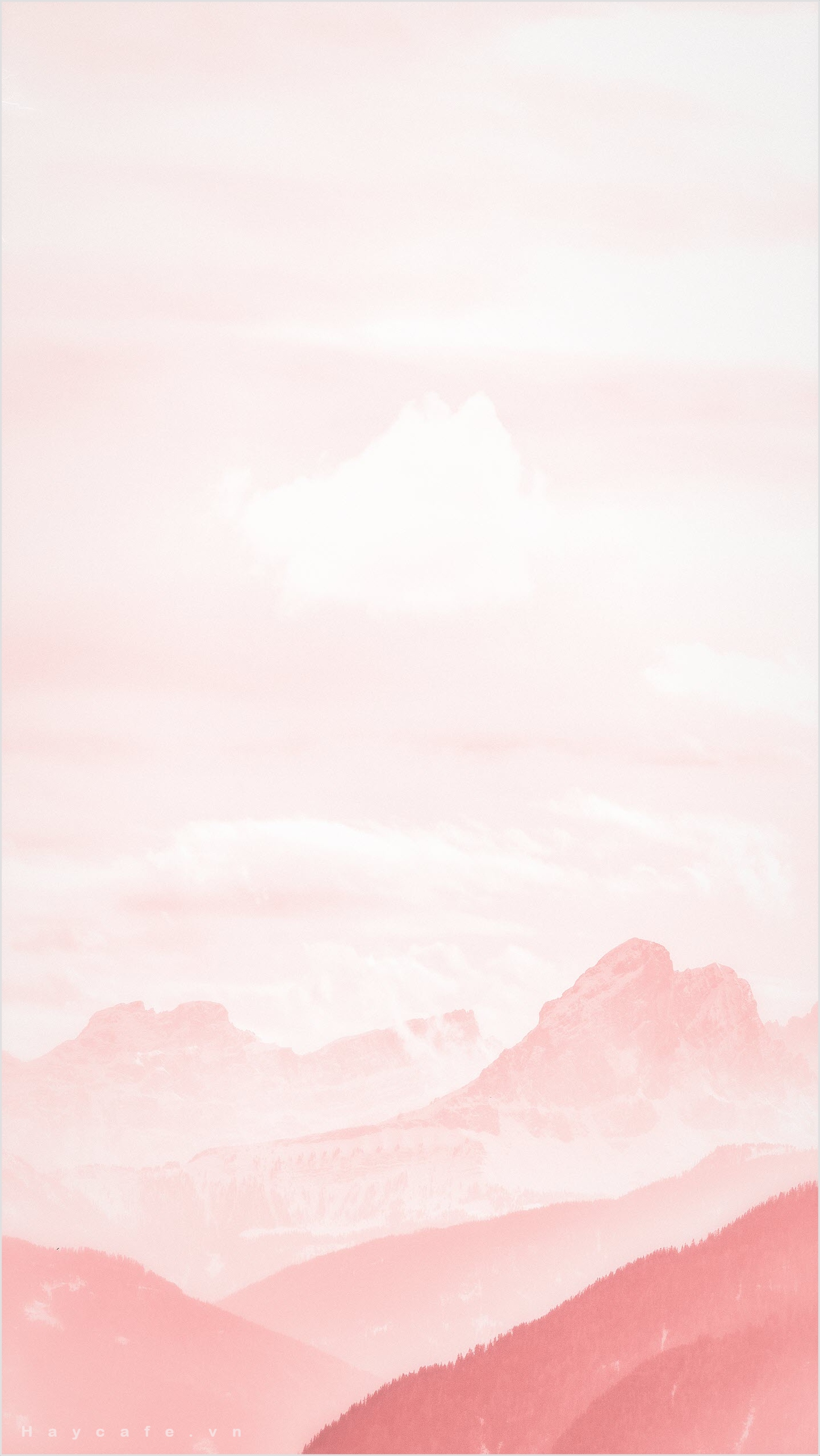 Hình nền màu hồng hình nền hồng cute cho điện thoại  QuanTriMangcom