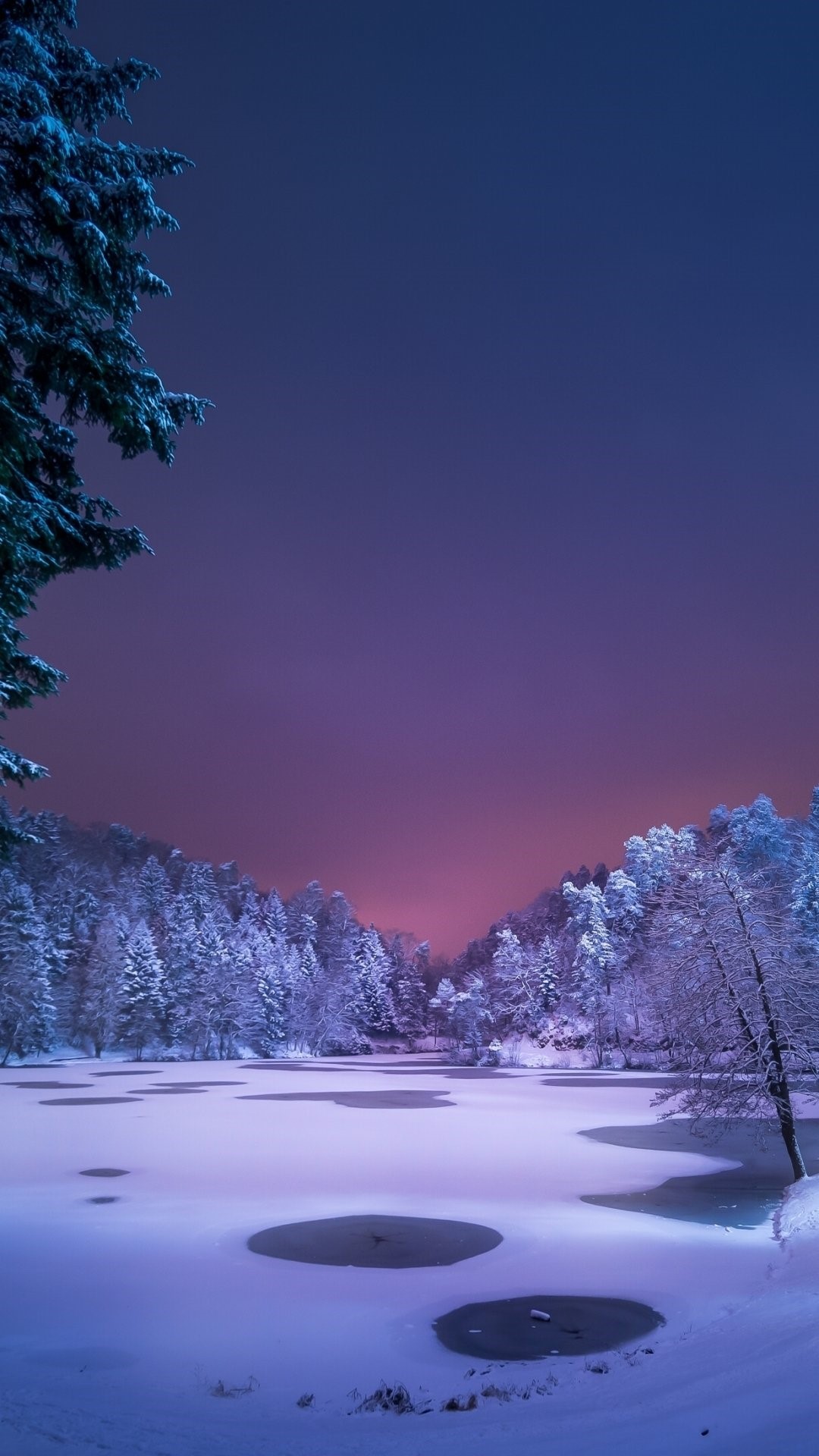 Hình nền : phong cảnh, cây, cô đơn, tuyết, mùa đông, trống, lạnh 2560x1600  - - 677320 - Hình nền đẹp hd - WallHere