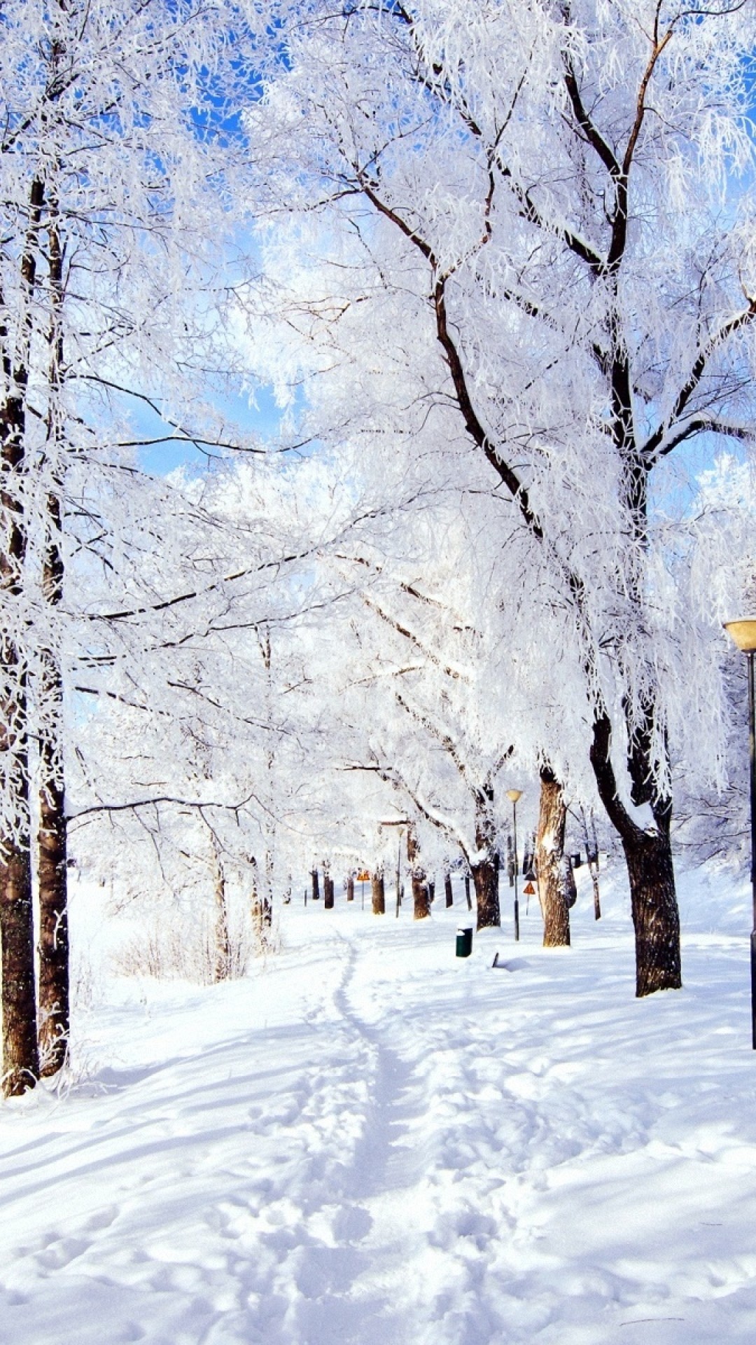 Chi tiết với hơn 116 hình nền phong cảnh mùa đông mới nhất - Tin học Đông  Hòa
