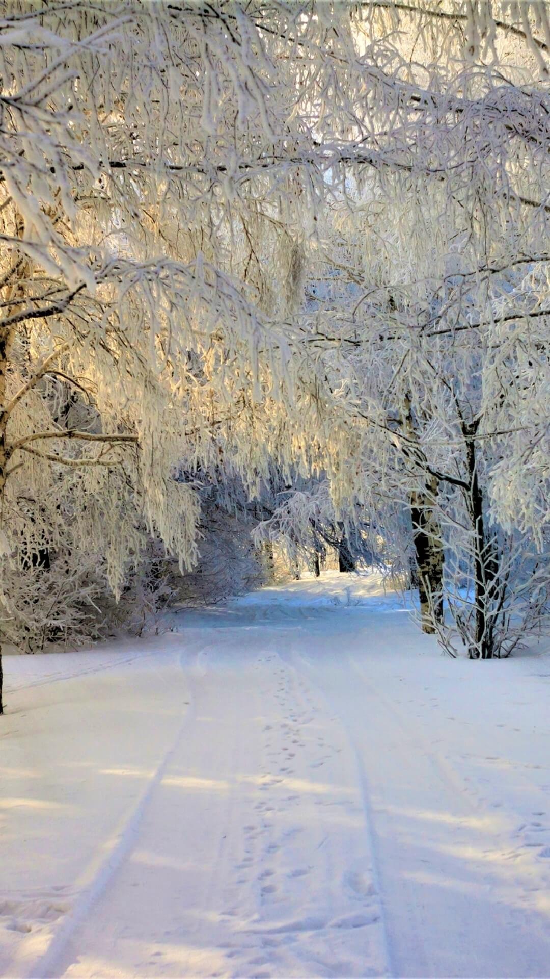 100 Hình ảnh Tuyết Rơi Buồn đẹp Lãng Mạn Nhất Mùa đông