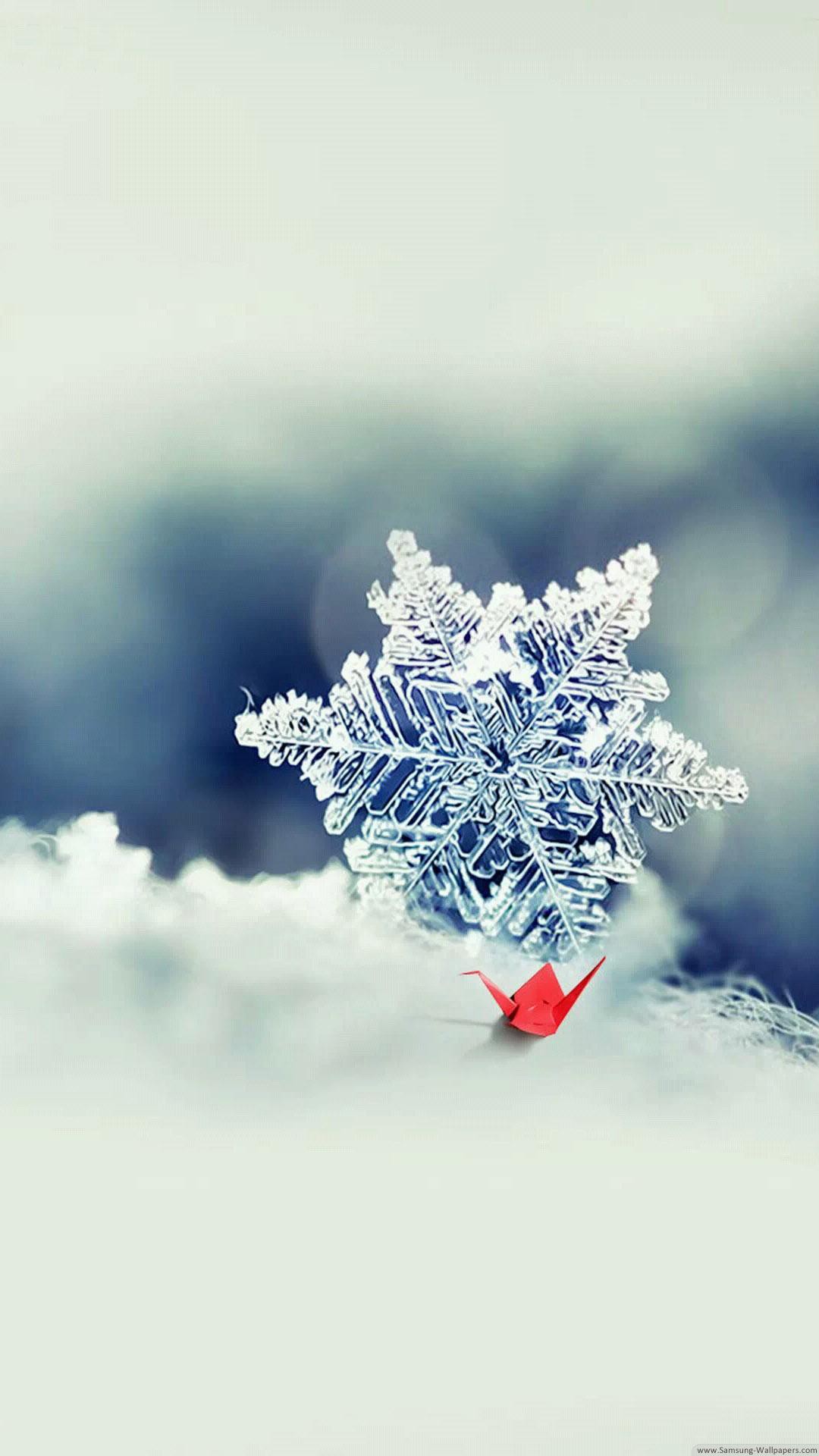 Khám phá 121 hình nền mùa đông đẹp tuyệt vời nhất  thdonghoadian