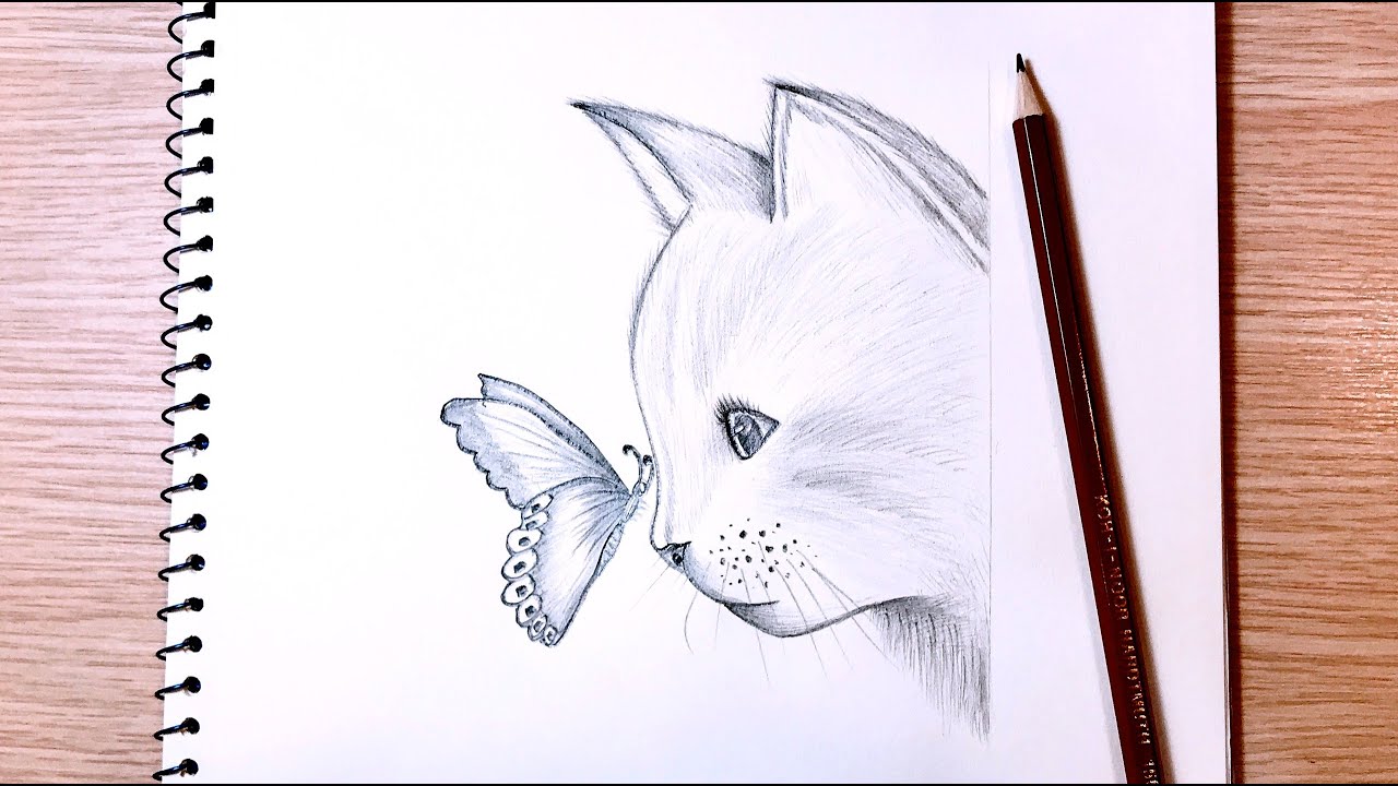 Bí Quyết Vẽ Mèo Bằng Bút Chì Đơn Giản Từng Bước Một