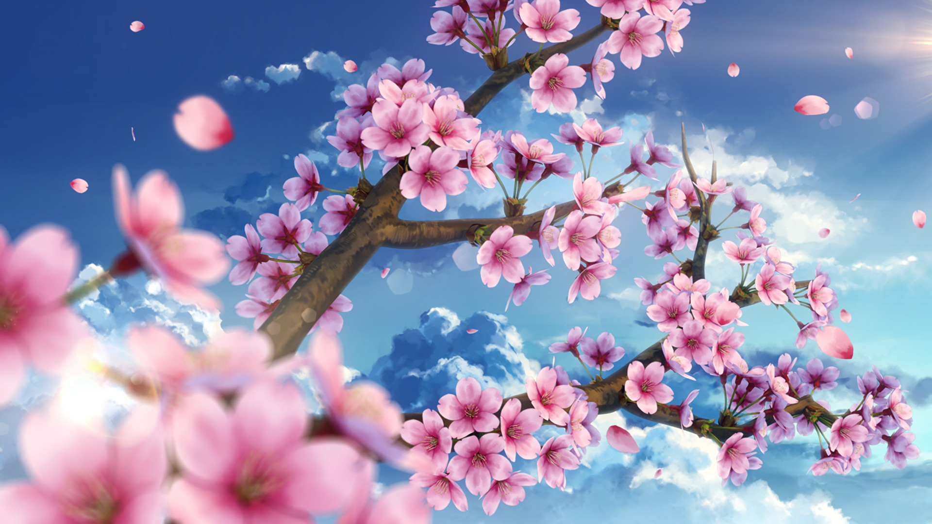 Hình ảnh hoa Anh Đào anime đẹp, lãng mạn, dễ thương nhất