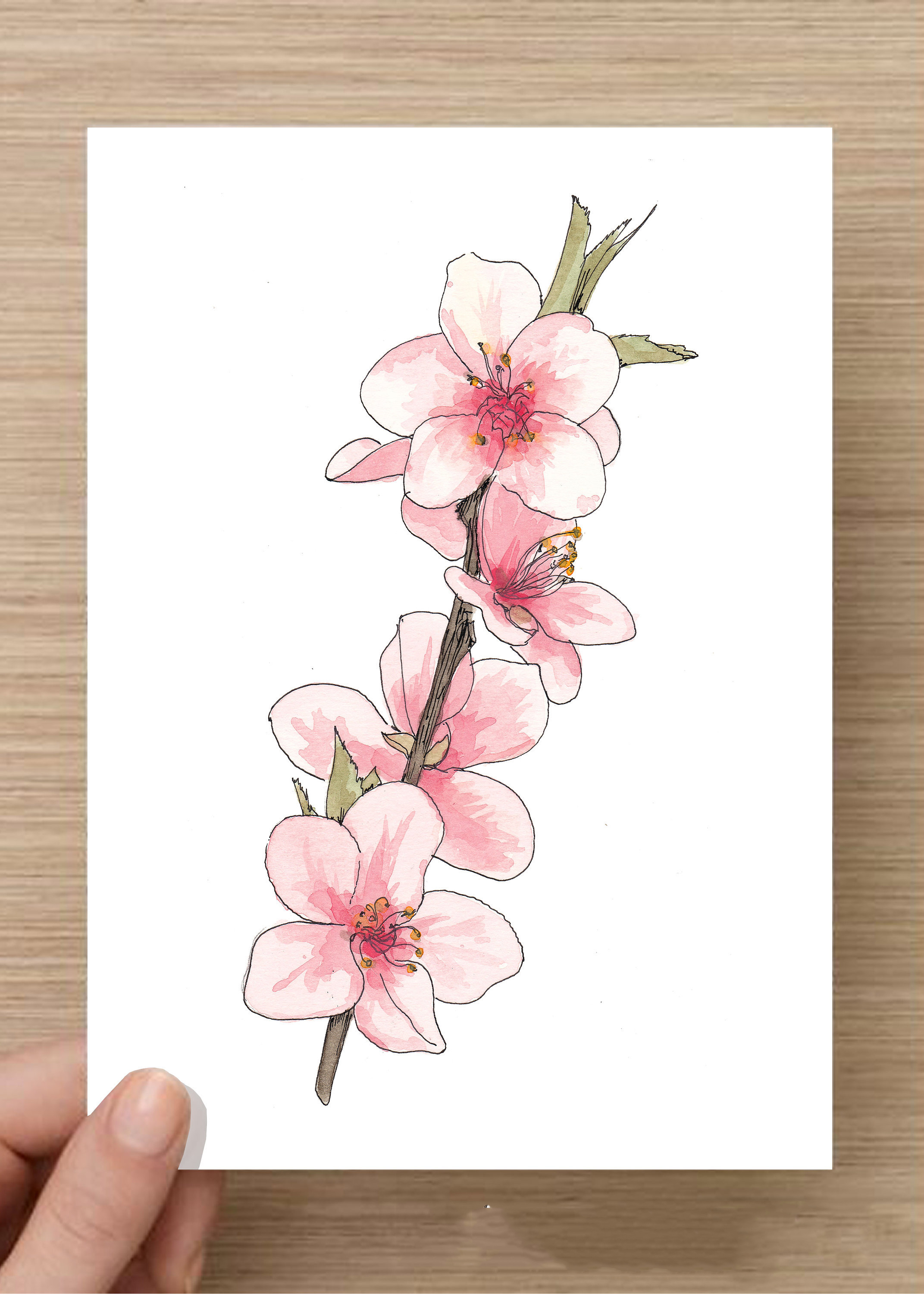 Bí quyết để vẽ hoa sen đẹp và đơn giản tại nhà cho bạn