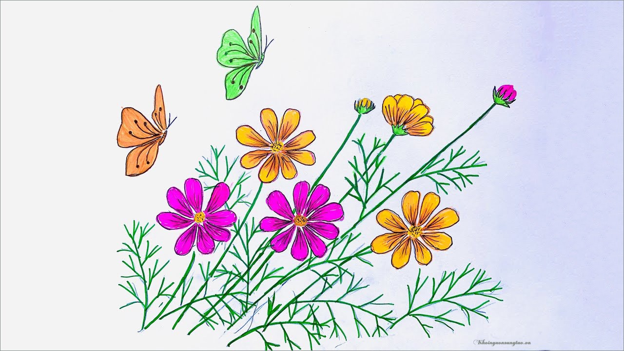 Chia sẻ hơn 54 về hình vẽ hoa đẹp đơn giản  cdgdbentreeduvn