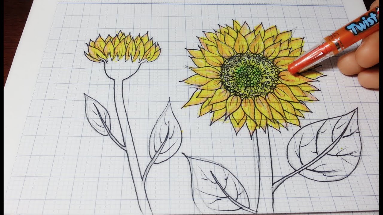 Một bức tranh nhỏ với vài nét vẽ đơn giản nhưng lại tràn đầy năng lượng của các loại hoa cỏ. Cùng ngắm nhìn tác phẩm vẽ hoa đơn giản này.