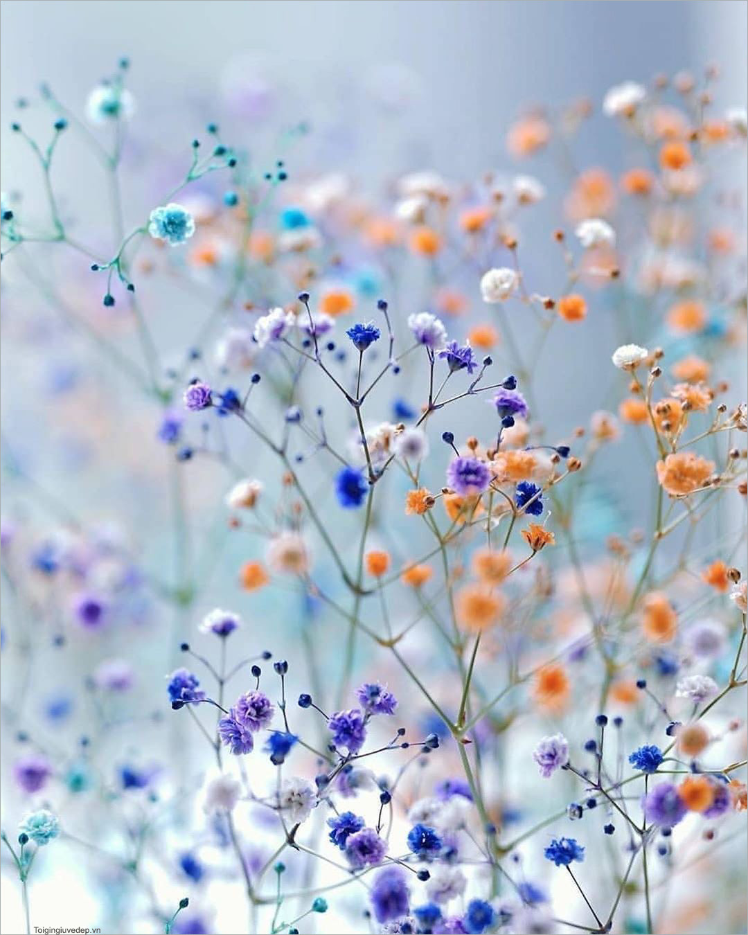 Avatar chill hoa: Tìm hiểu thế giới của Chill hoa với avatar hoa độc đáo. Thư giãn, tìm lại bình yên của bạn và tạo ra ấn tượng với những hình ảnh độc đáo này. Hãy cùng nhau khám phá thế giới của Chill hoa và tìm kiếm sự thanh thản trong tâm hồn của chính bạn.