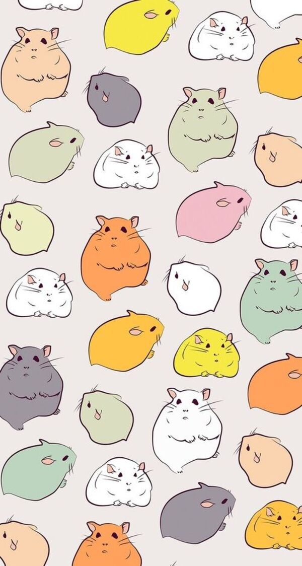 Cute Hamster Wallpapers  Top Những Hình Ảnh Đẹp