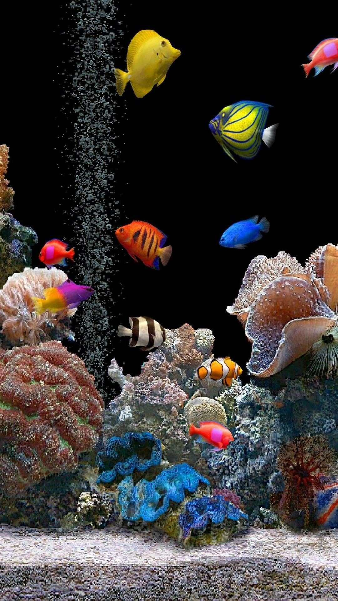 Bộ sưu tập 222 3d aquarium desktop background free download đào tạo và thư  giãn