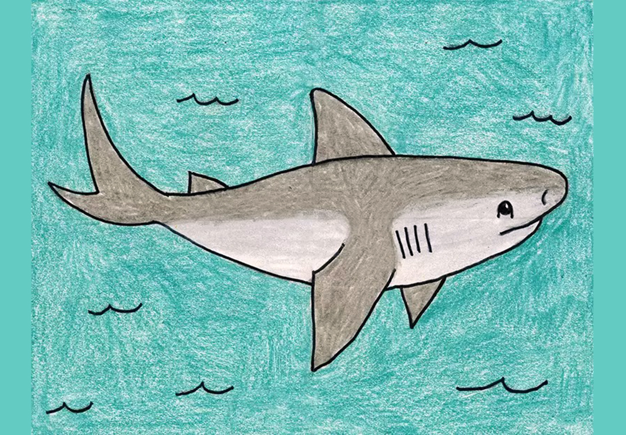 Draw the shark  Vẽ con cá mập  YouTube