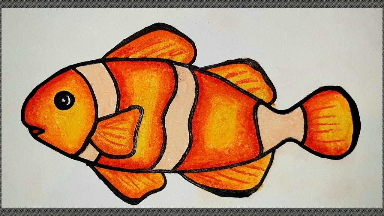 Cách vẽ con cá đẹp đơn giản 100 Tranh vẽ cá đủ dáng màu sắc