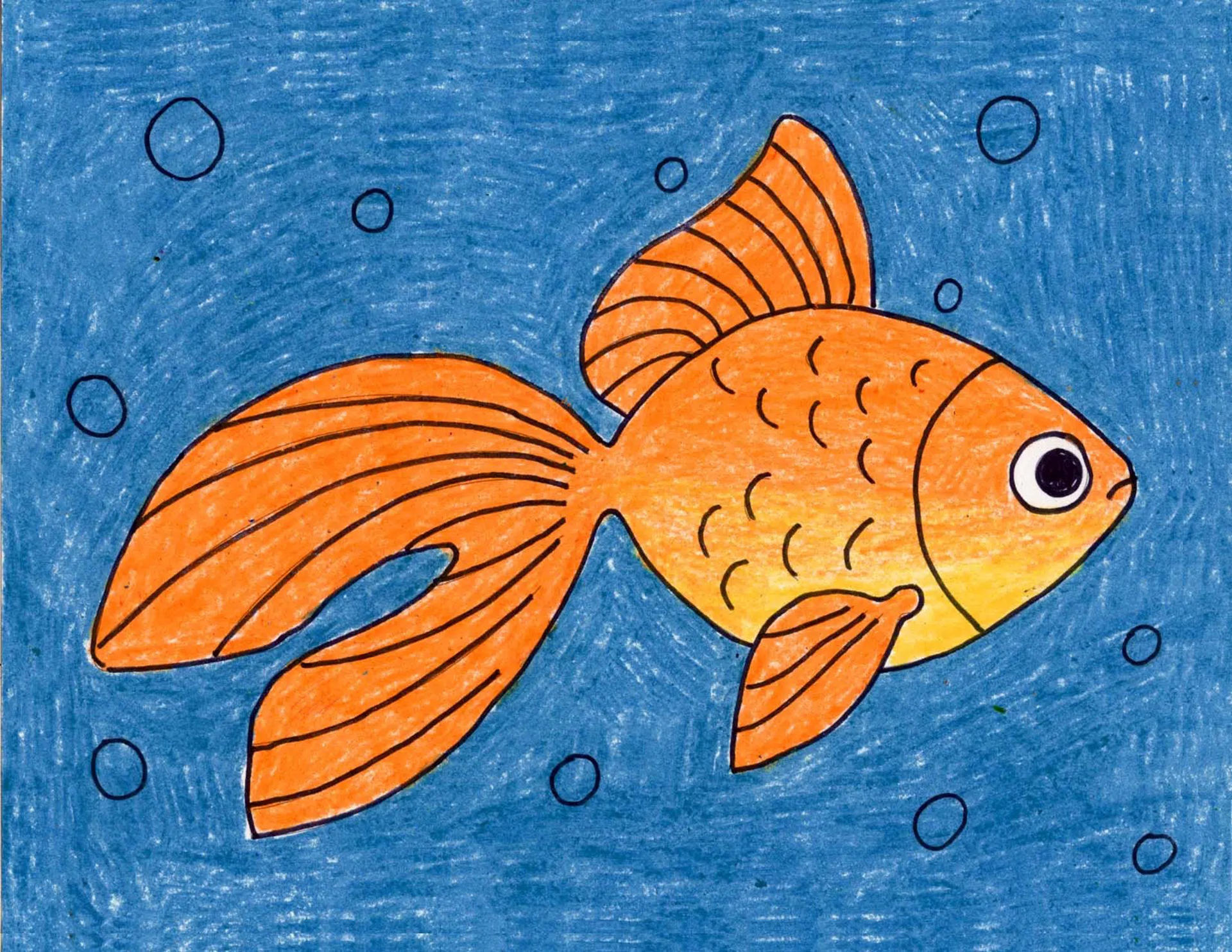 Học tập cách vẽ cá koi 3d từ cơ bản đến nâng cao