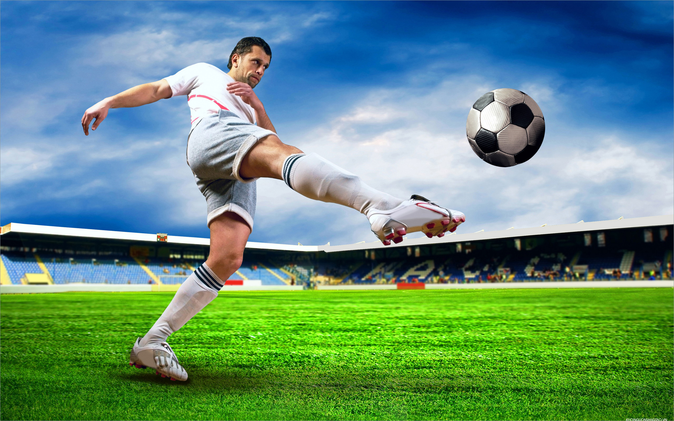Thiết kế hình tròn Avatar Hoạt hình Bóng đá Trò chơi điện tử Màu sắc  Thiết bị thể thao Thế giới Hoạt hình hình đại diện png  PNGEgg