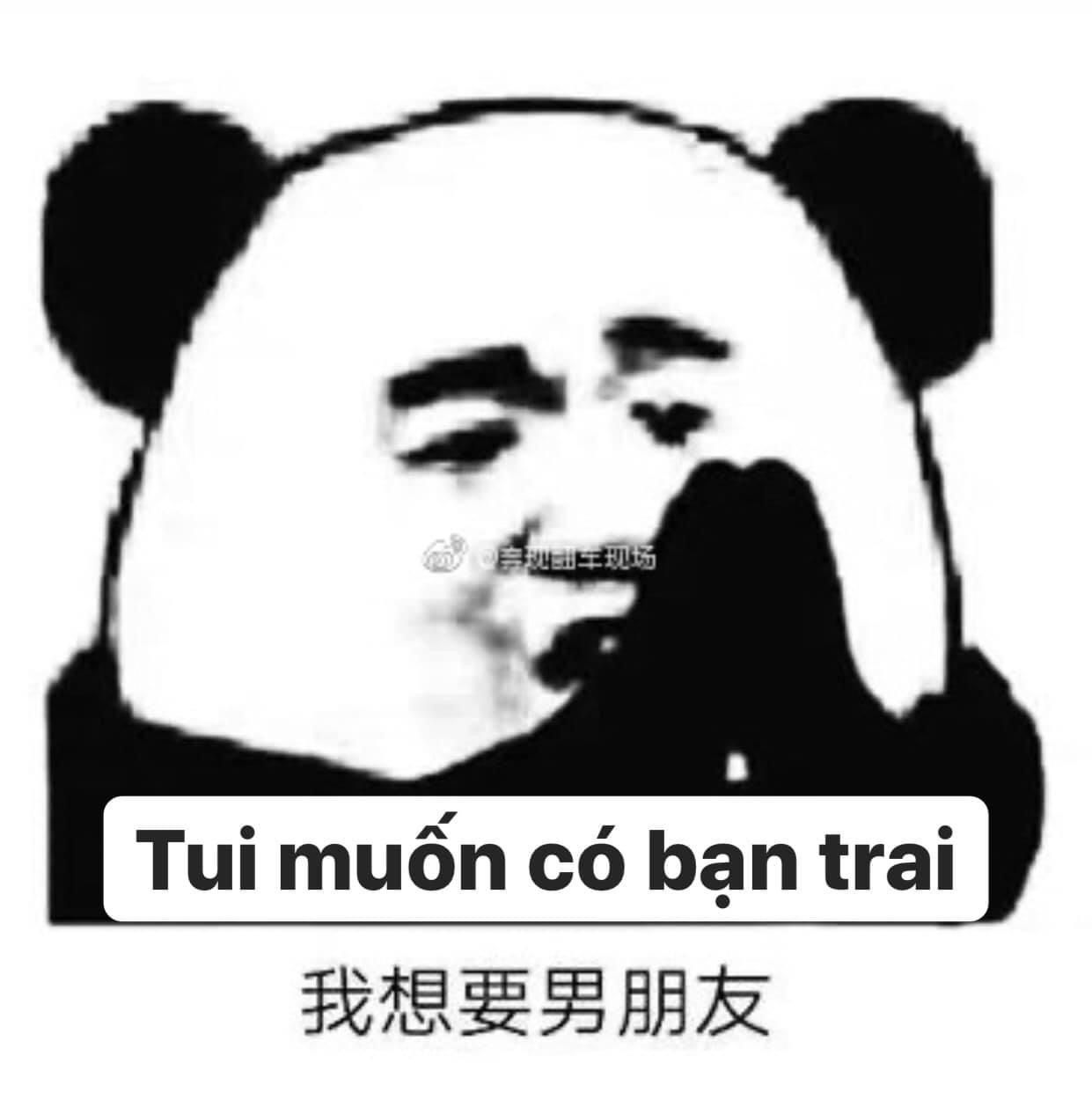 Ảnh Meme Gấu Trúc Weibo Trung Quốc Bựa Troll Hài Hước mới nhất 2023  TT  GDTX Quận 11