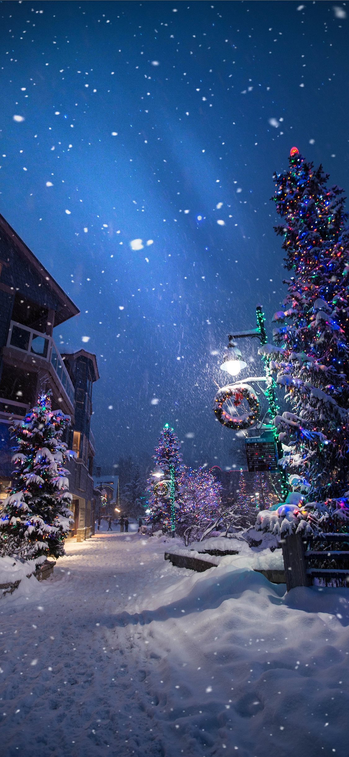100 Hình ảnh mùa đông tuyết phủ trắng xóa cực đẹp