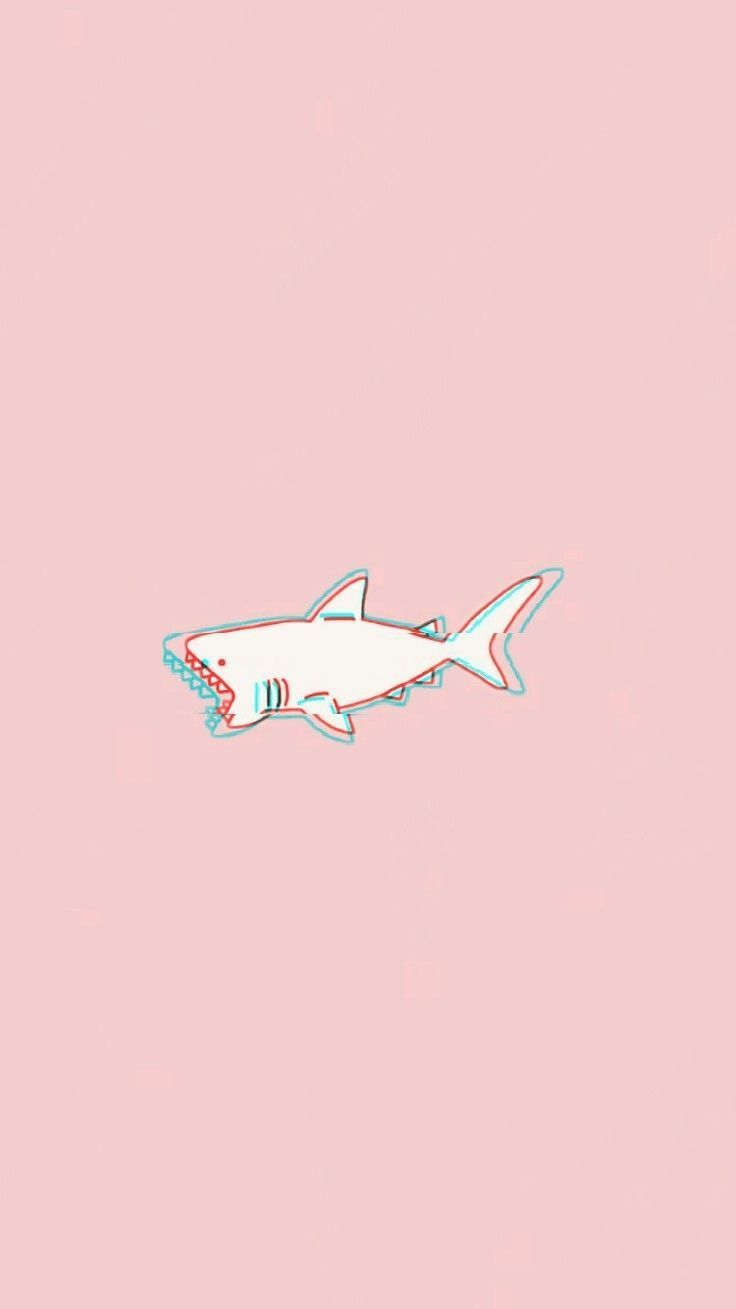Hình cá mập cute hình nền cá mập dễ thương đáng yêu