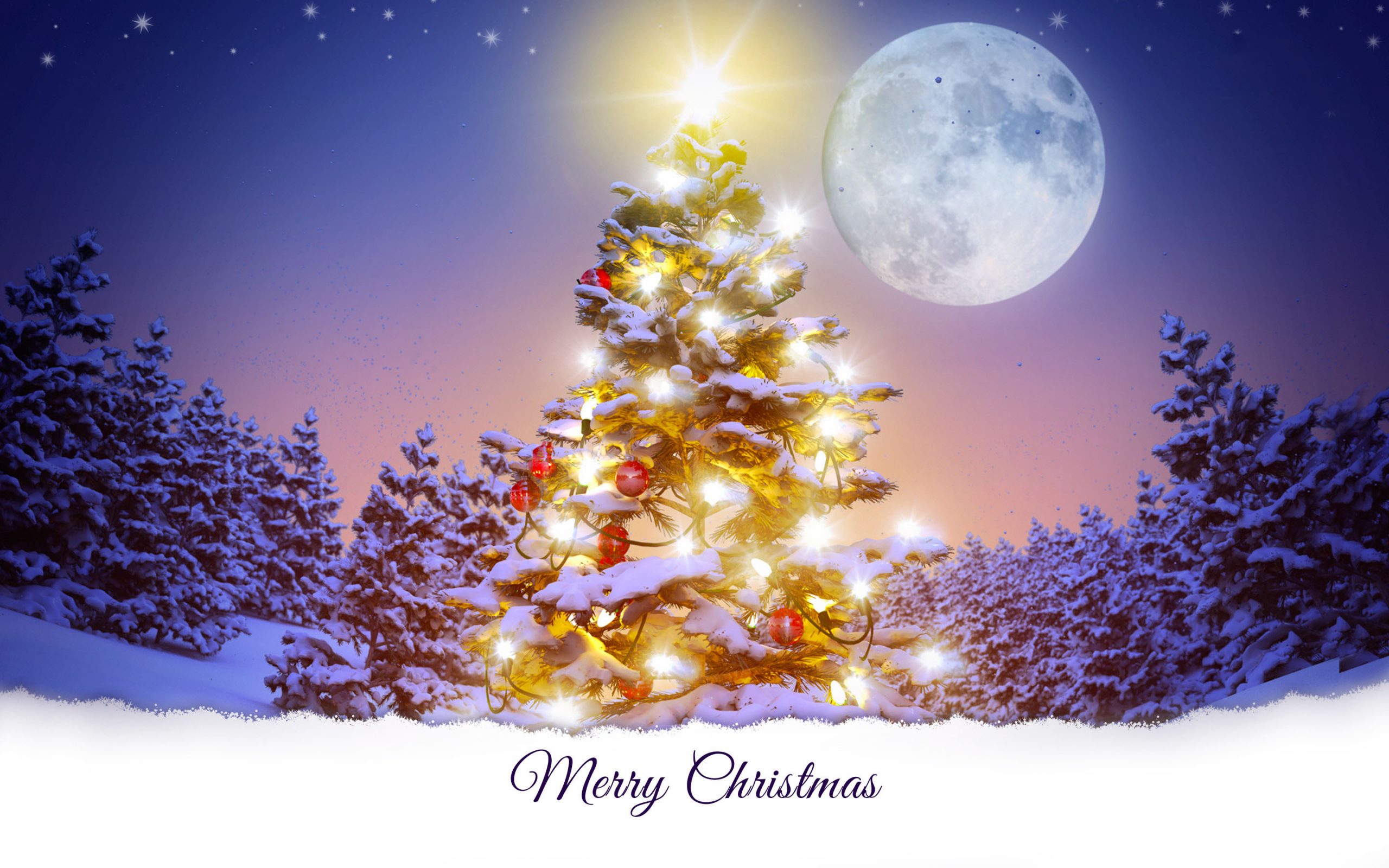 50 hình nền cây thông Noel đẹp lung linh nhất cho Giáng Sinh  TRẦN HƯNG ĐẠO
