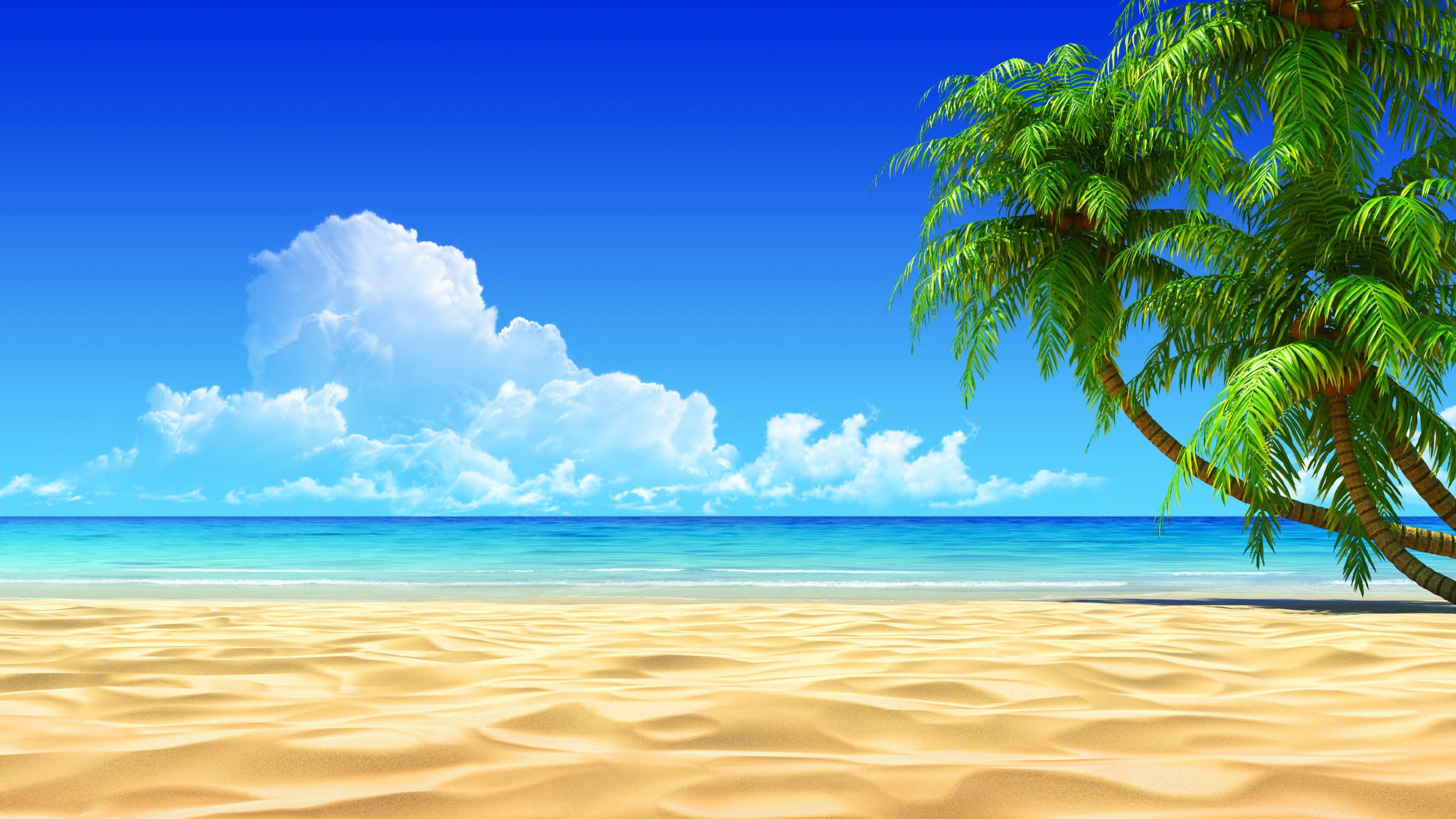 Bãi biển đẹp với bầu trời xanh và ánh nắng tỏa sáng là một điều tuyệt vời. Hãy từ từ thư giãn với màn hình của bạn với những tấm hình nền tuyệt đẹp về bãi biển này.