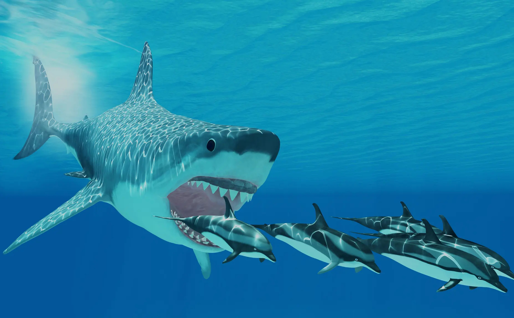 Các nhà khoa học xác nhận họ chẳng biết siêu cá mập Megalodon thật sự trông  như thế nào  KhoaHoctv