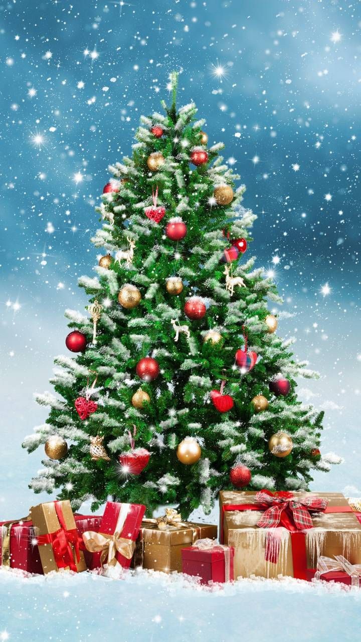 Bộ hình nền giáng sinh 2019 cây thông noel christmas tree cho iphone Noel Giáng sinh Nến giáng sinh