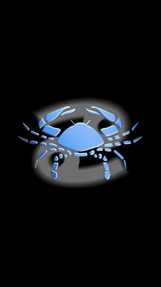 Das Bild des Krebses ist die blaue Krabbe