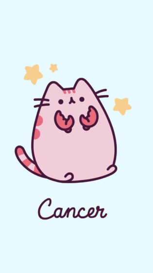 Krebstierkreis rosa Katze