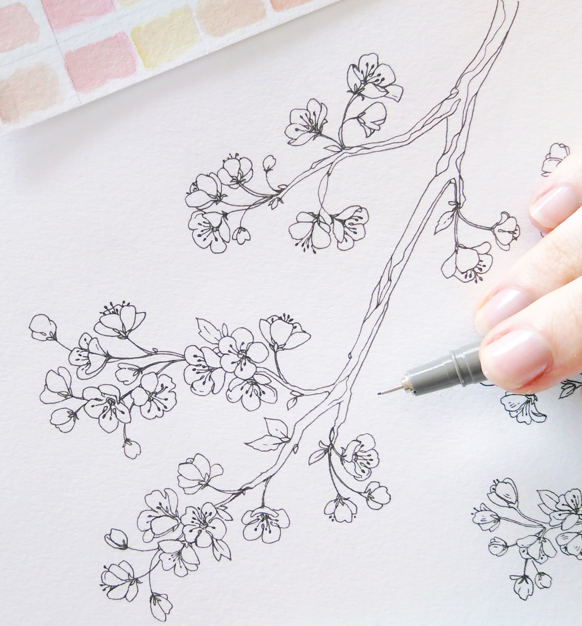 Cách vẽ hoa đào  Dạy Vẽ